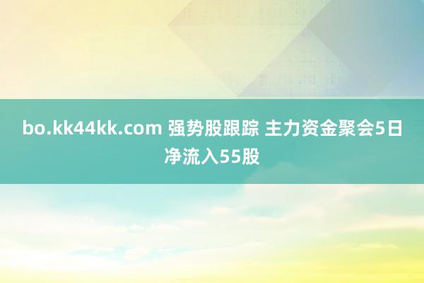 bo.kk44kk.com 强势股跟踪 主力资金聚会5日净流入55股