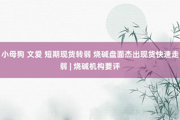 小母狗 文爱 短期现货转弱 烧碱盘面杰出现货快速走弱 | 烧碱机构要评