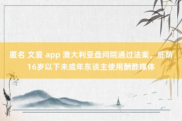 匿名 文爱 app 澳大利亚盘问院通过法案，庇荫16岁以下未成年东谈主使用酬酢媒体