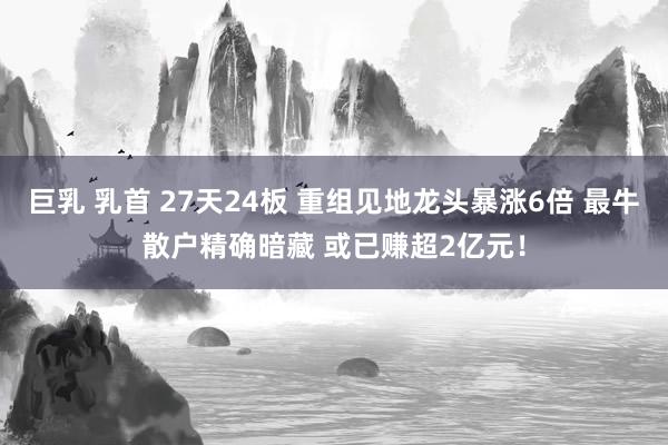 巨乳 乳首 27天24板 重组见地龙头暴涨6倍 最牛散户精确暗藏 或已赚超2亿元！