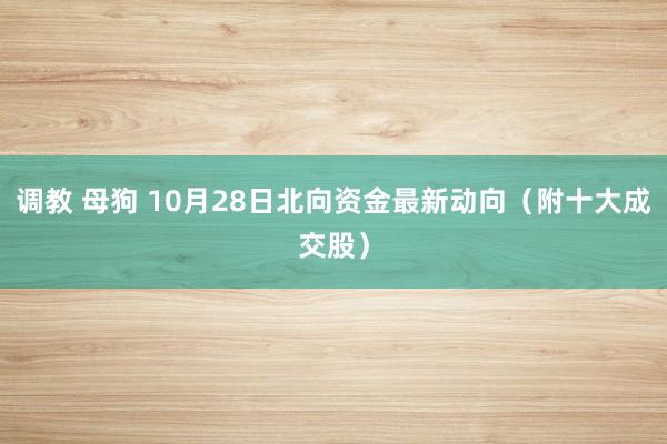 调教 母狗 10月28日北向资金最新动向（附十大成交股）