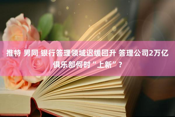 推特 男同 银行答理领域迟缓回升 答理公司2万亿俱乐部何时“上新”？