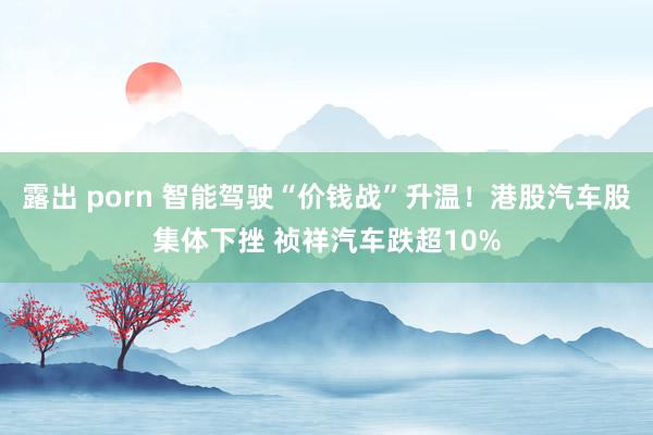 露出 porn 智能驾驶“价钱战”升温！港股汽车股集体下挫 祯祥汽车跌超10%